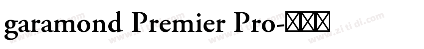 garamond Premier Pro字体转换